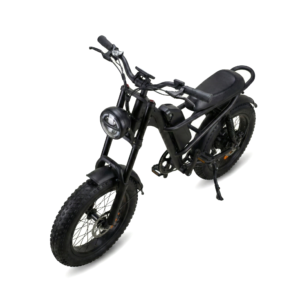 Electric Bike Z8